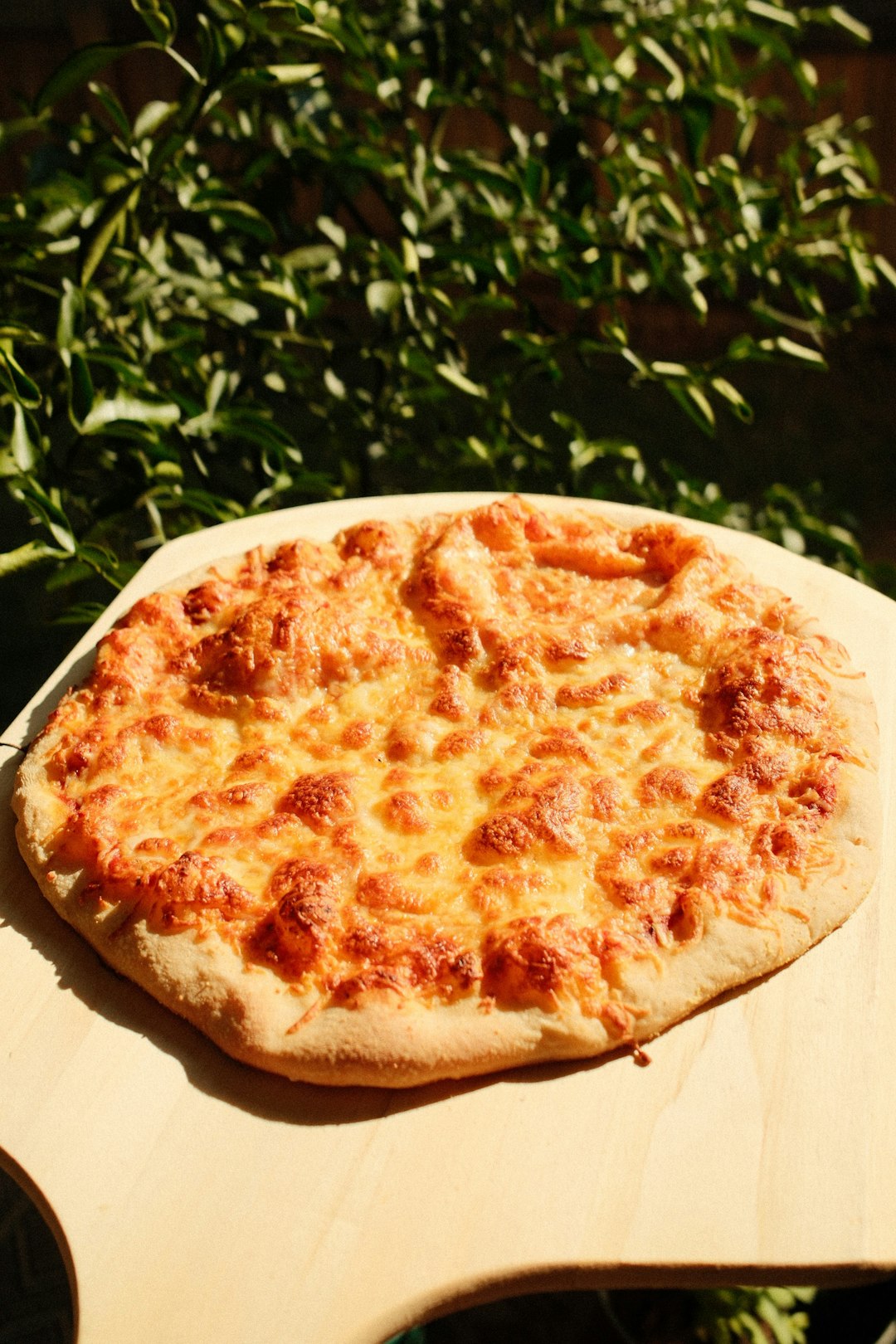 Pizza Oven